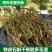 【铁皮石斛】干条胶多渣少仿野生石斛4年生品质上乘