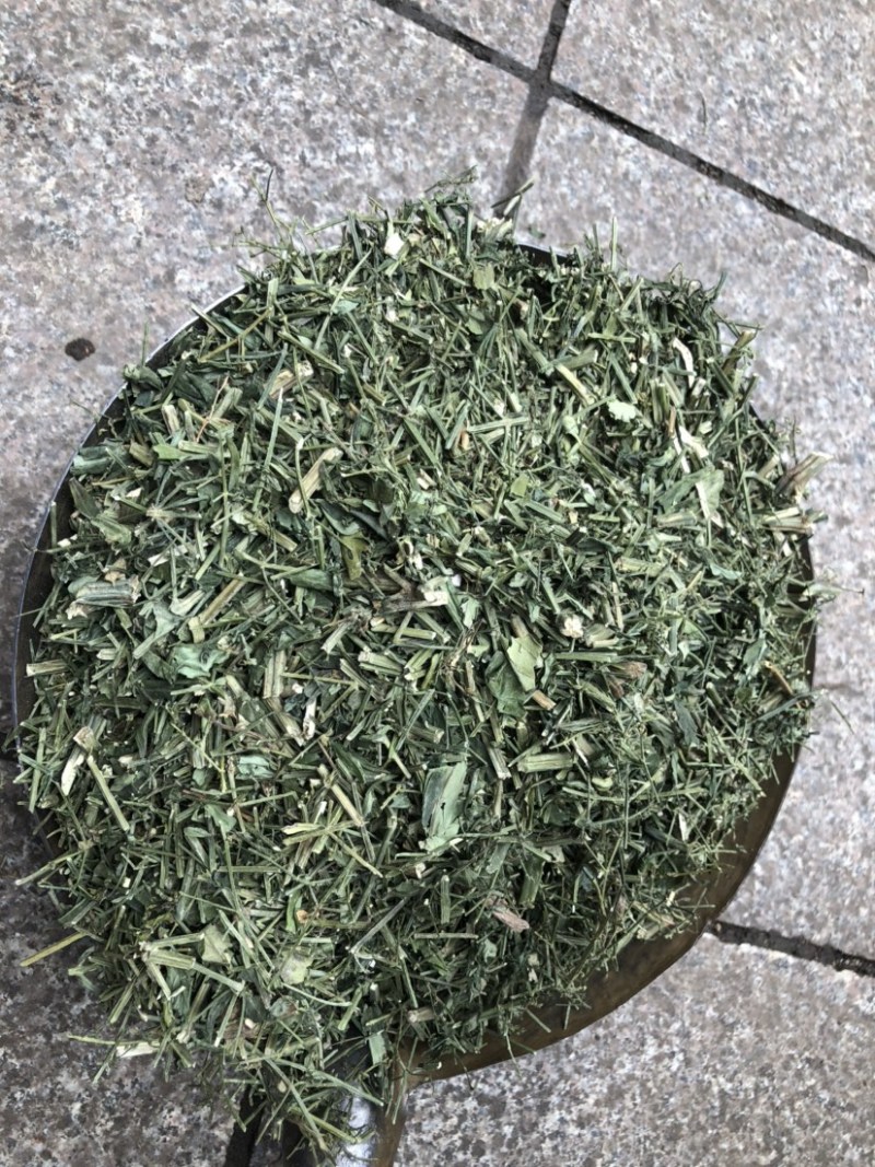 穿心莲厂家直销没有中间商赚差价穿心莲切草（切片）