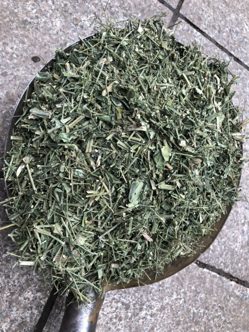 穿心莲厂家直销没有中间商赚差价穿心莲切草（切片）