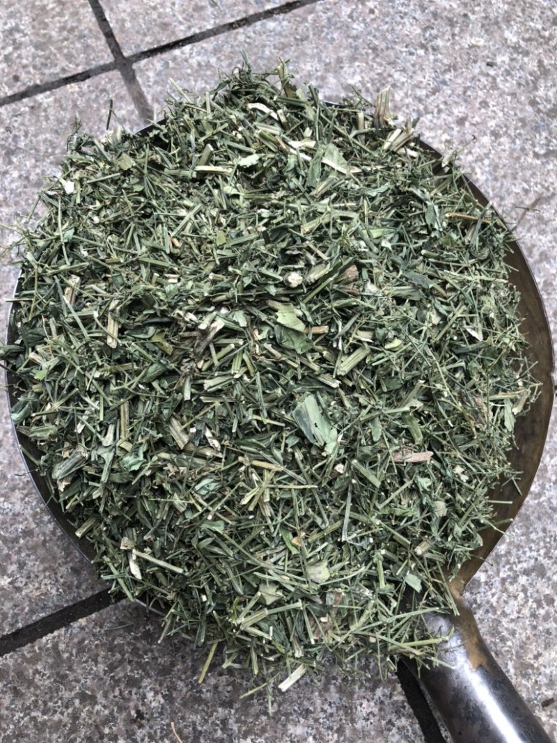 穿心莲厂家直销没有中间商赚差价穿心莲切草（切片）