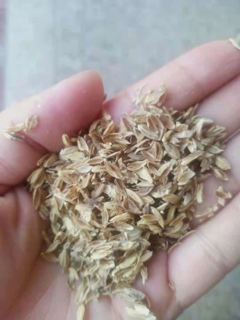 稻壳