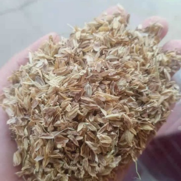 稻壳