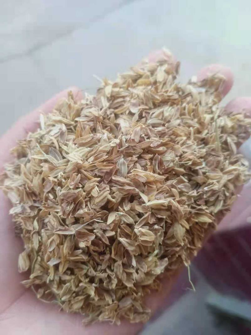 稻壳