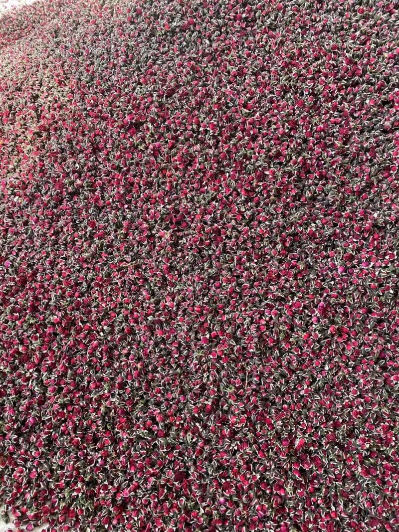 云南金边玫瑰花茶批发产地新货玫瑰花茶批发散装干