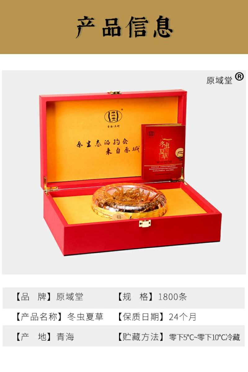 原域堂冬虫夏草青海玉树正宗精品大草西藏那曲野生足干虫草