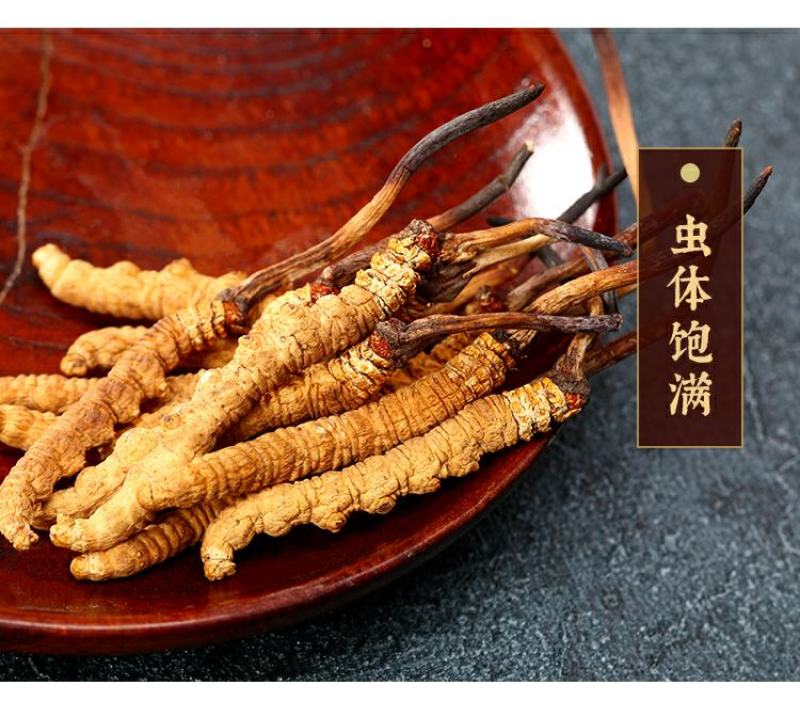 原域堂冬虫夏草青海玉树正宗精品大草西藏那曲野生足干虫草
