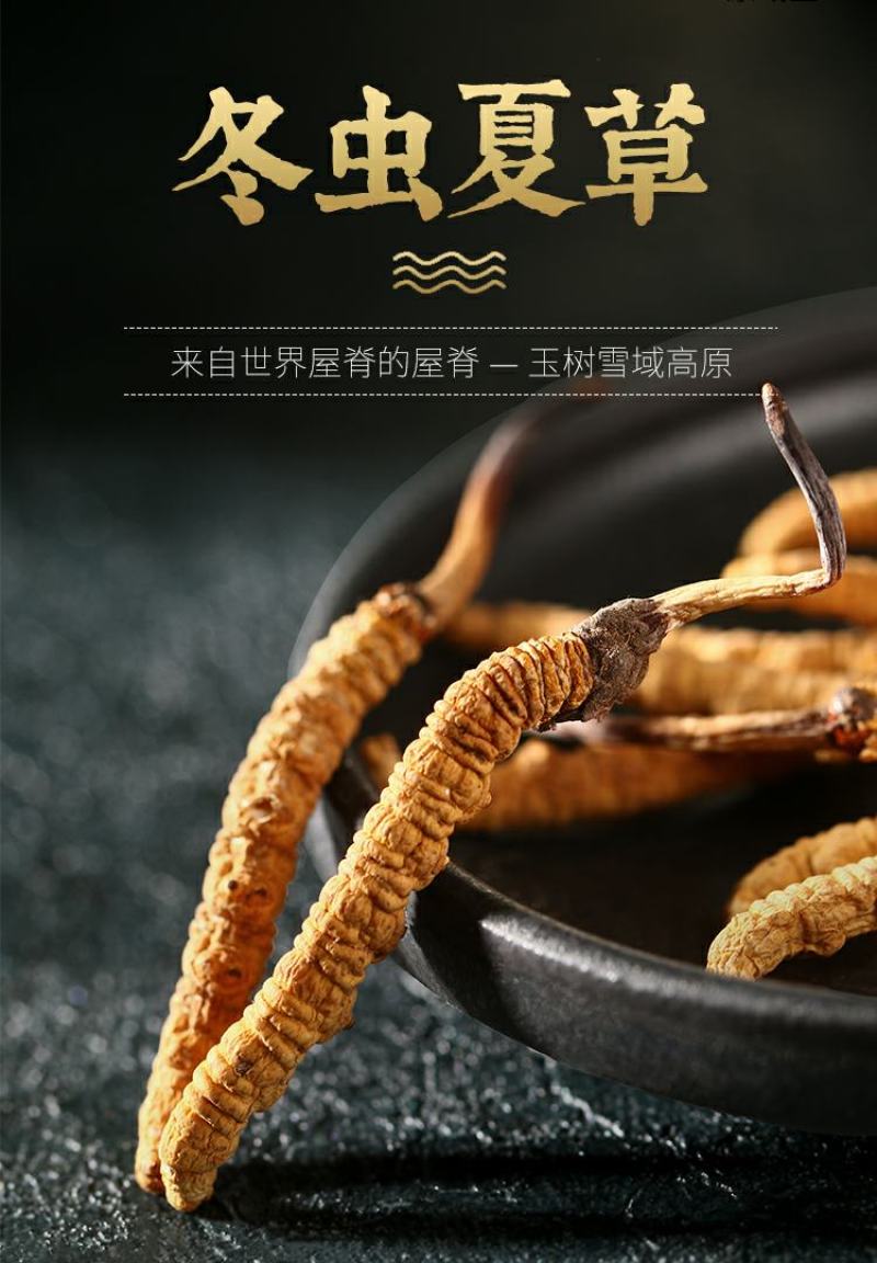原域堂冬虫夏草青海玉树正宗精品大草西藏那曲野生足干虫草