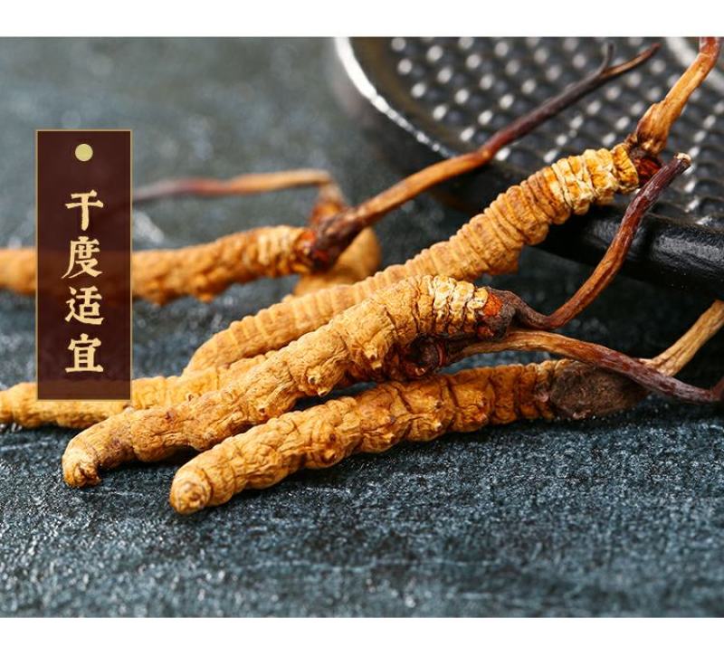 原域堂冬虫夏草青海玉树正宗精品大草西藏那曲野生足干虫草