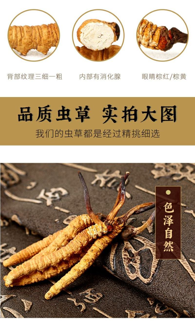 原域堂冬虫夏草青海玉树正宗精品大草西藏那曲野生足干虫草