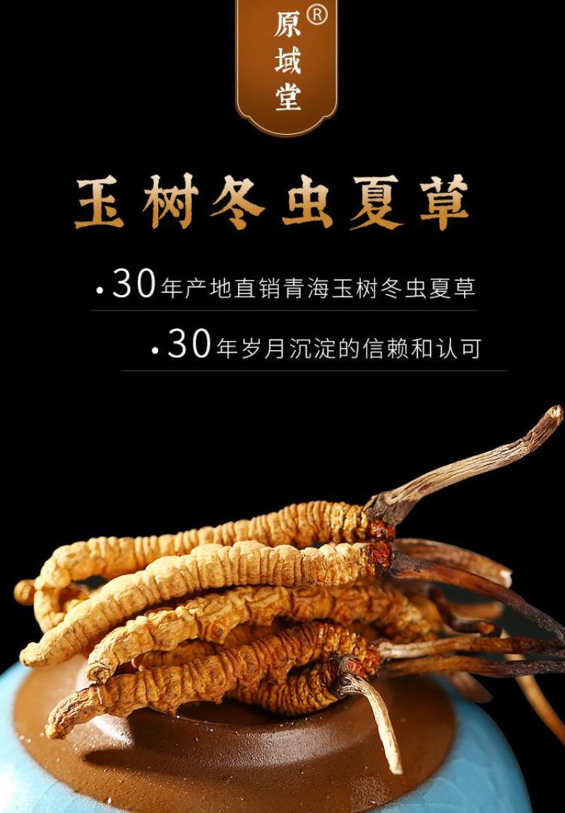 原域堂青海玉树3000条冬虫夏草正品野生干草头期新草