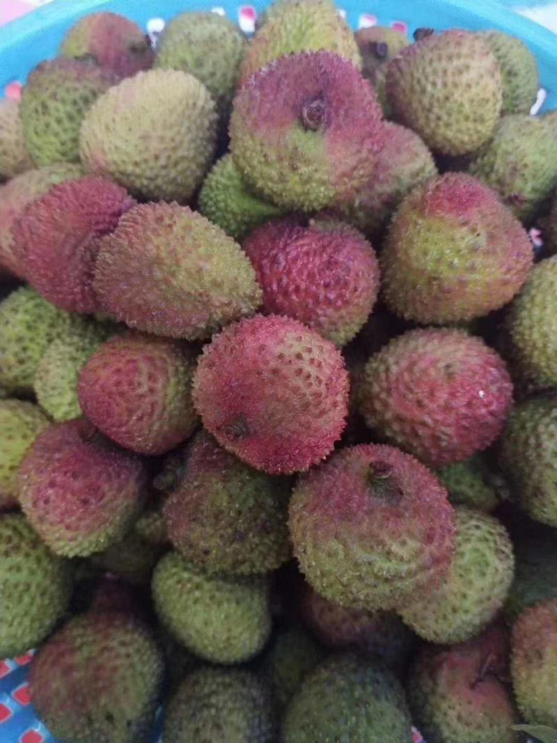 妃子笑荔枝之乡—灵山县妃子笑荔枝，甜度高。