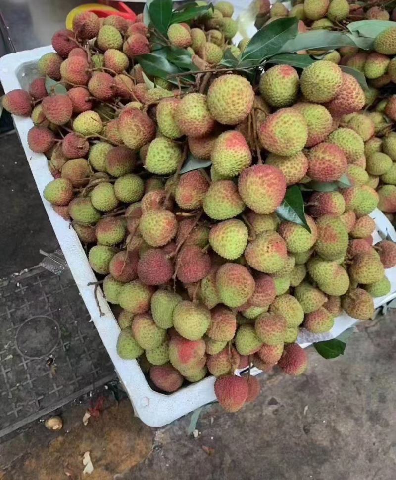 妃子笑荔枝之乡—灵山县妃子笑荔枝，甜度高。