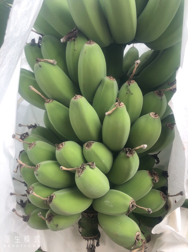 精品苹果蕉