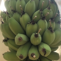 精品苹果蕉