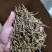 铁皮石斛烤条肉质饱满全化渣