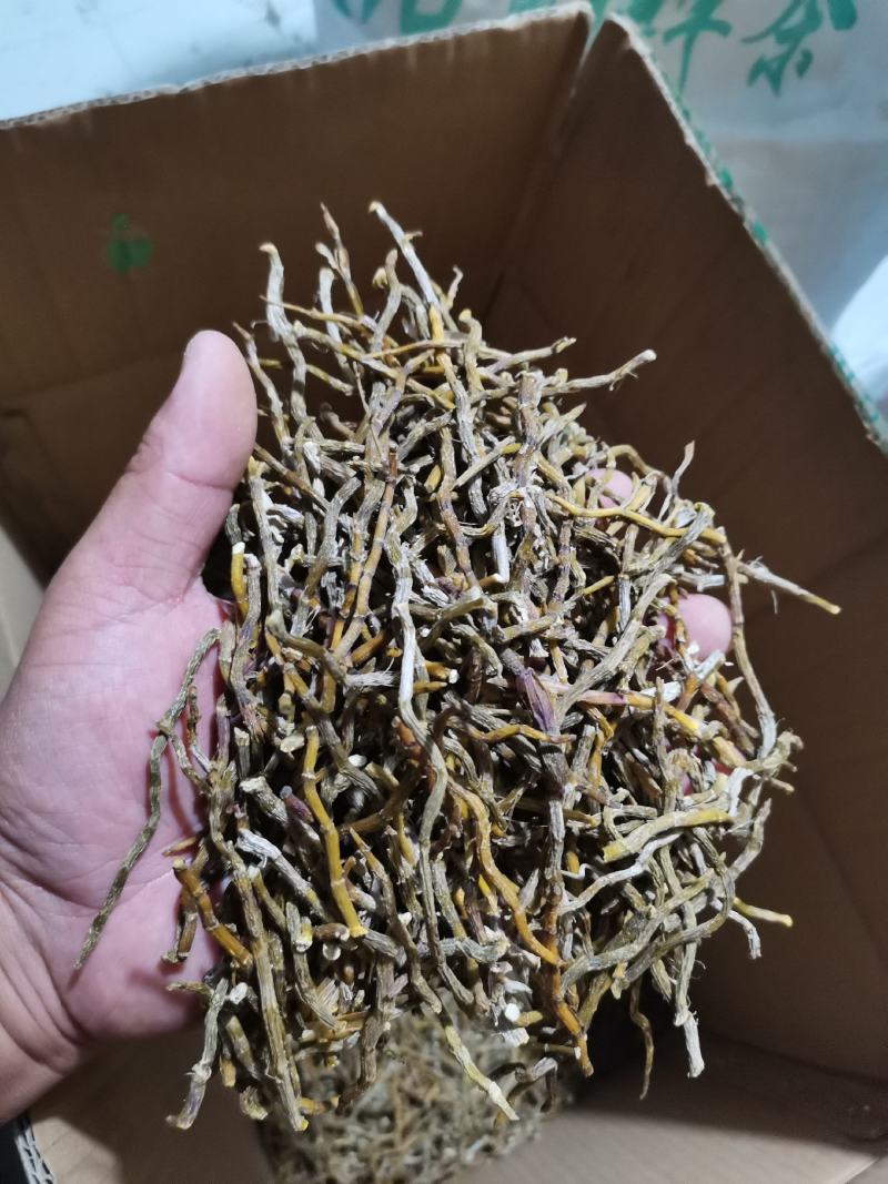 铁皮石斛烤条肉质饱满全化渣