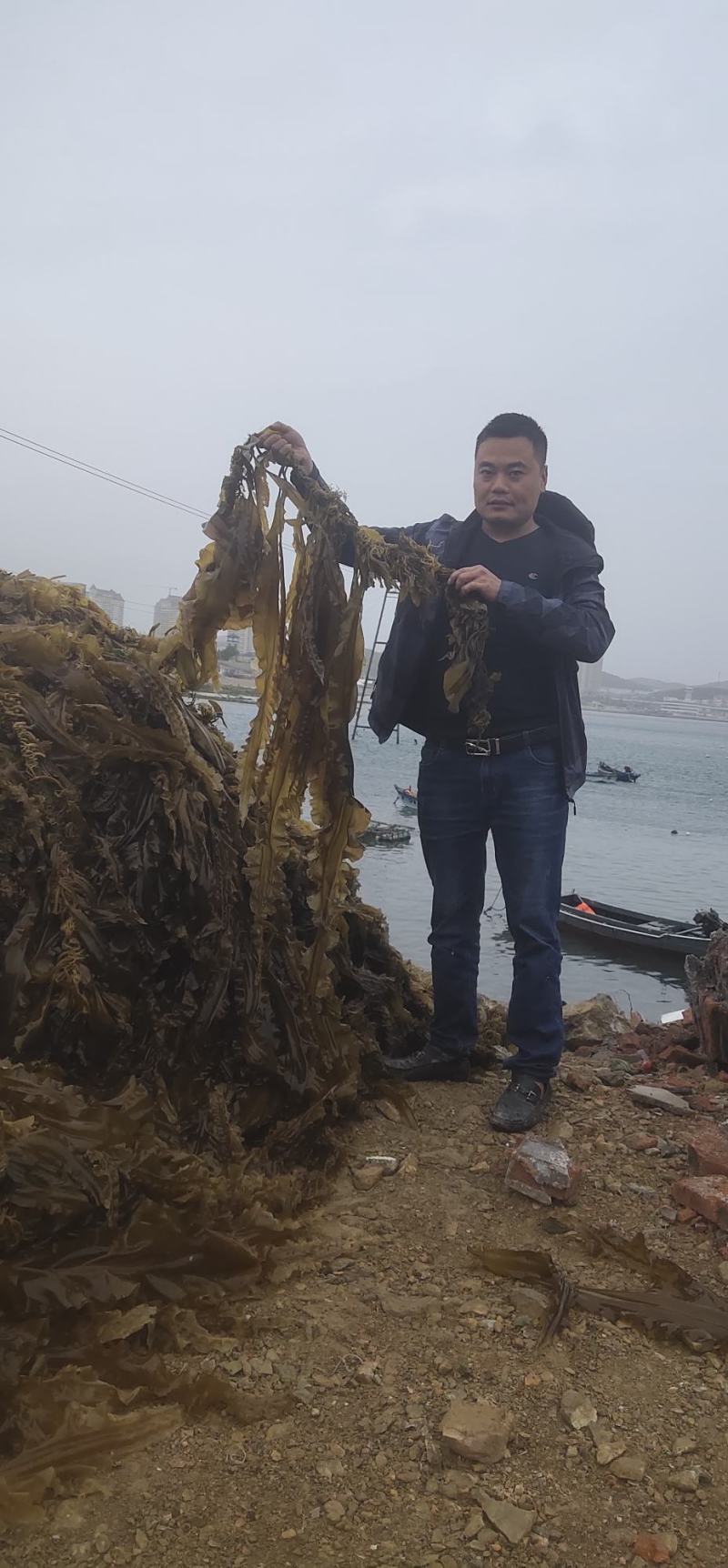 海带苗小海带三秒海带芽火锅餐饮食材厂家直销全国发货