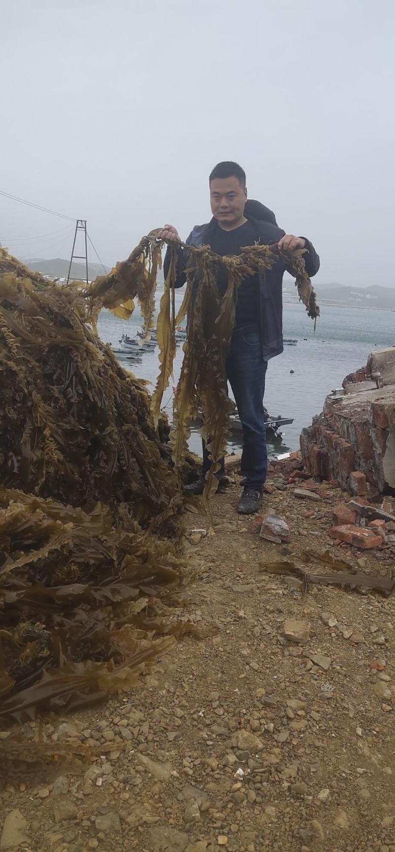 海带苗小海带三秒海带芽火锅餐饮食材厂家直销全国发货