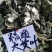 3年野生陈艾叶端午节，泡水冼高含量。有手选，保证质量长期