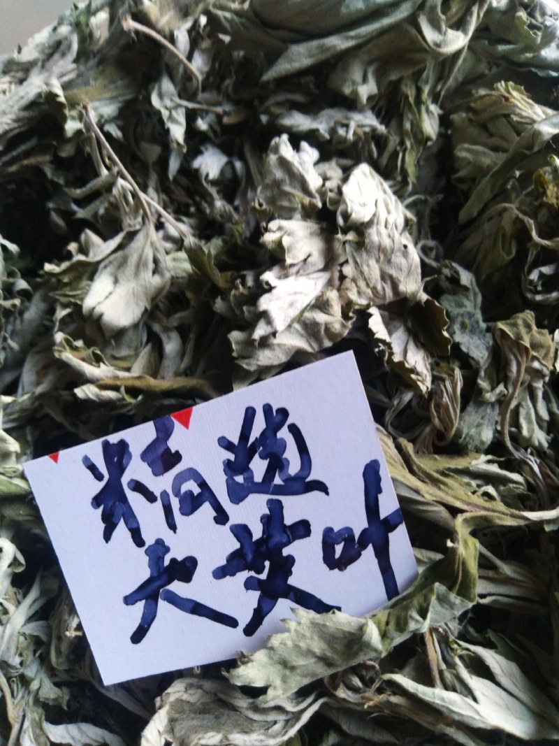 3年野生陈艾叶端午节，泡水冼高含量。有手选，保证质量长期
