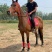 马骑乘马马活体汗血马温血马
