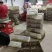 珍珠鸡苗优选品种一手货源包打疫苗包活全国代发质量正宗