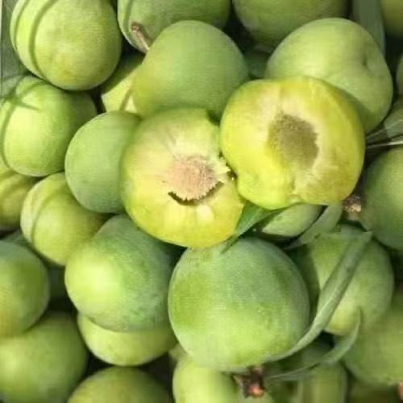 热带水果