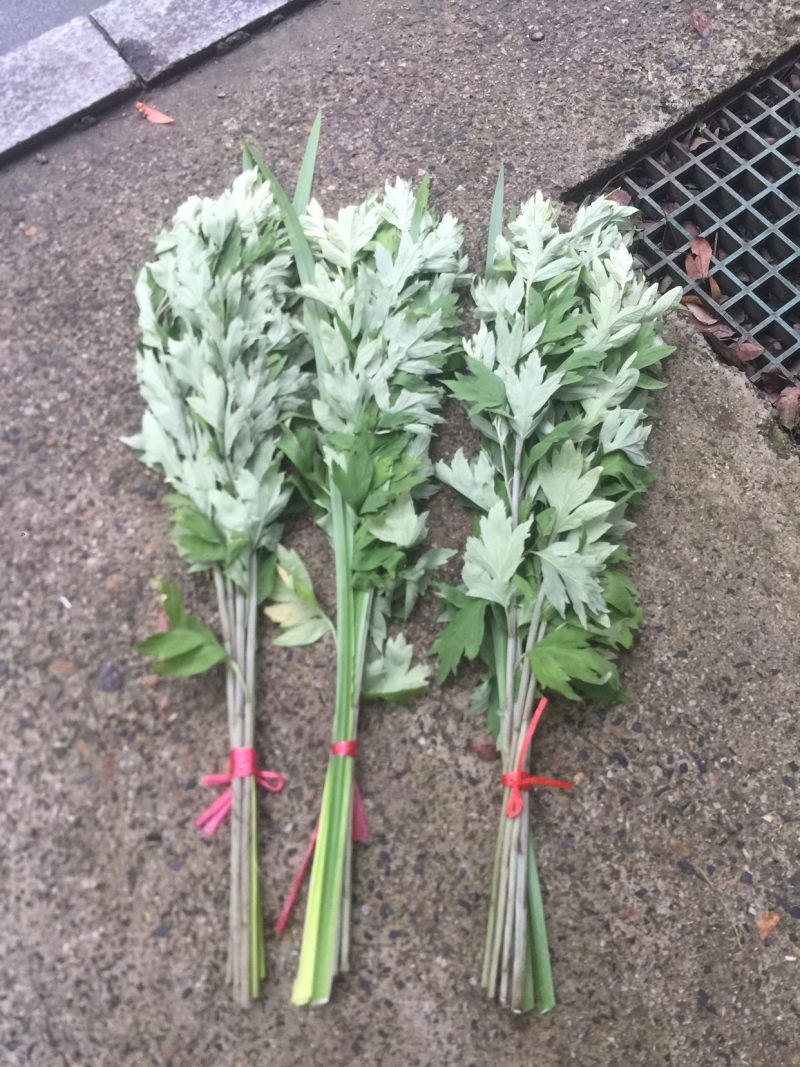 端午节艾草上市接受预订
