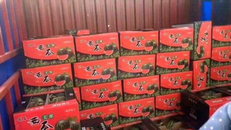 美都西瓜保质保量供货对接全国采购商欢迎选购