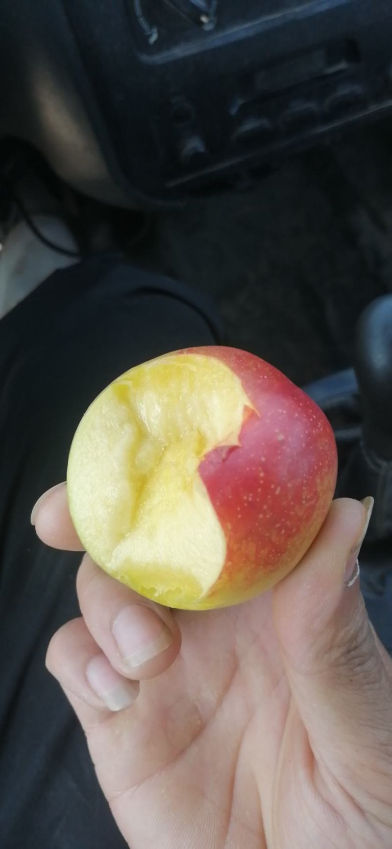 露天早桃，油桃，毛桃