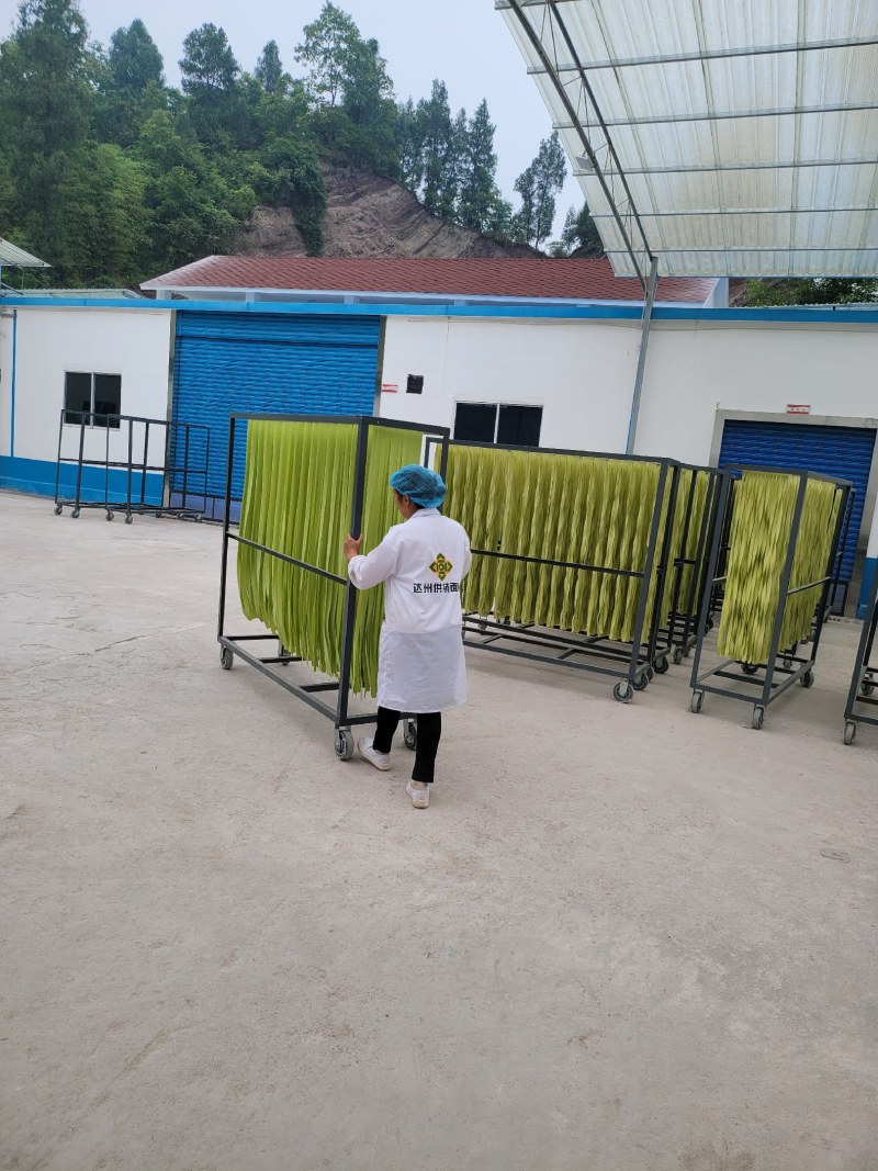 手工制作面条菠菜面南瓜面地摊展会货源批发