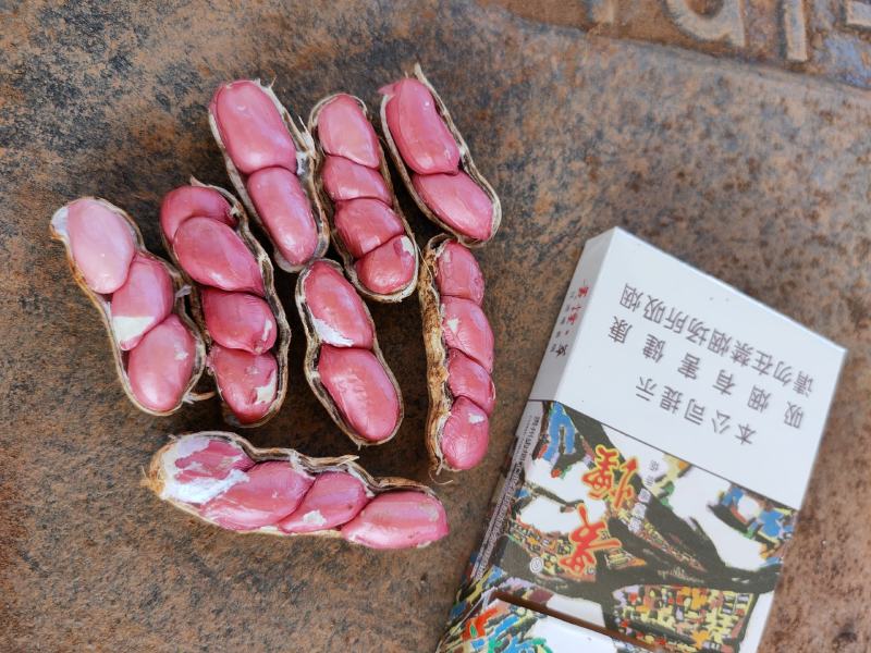 【精品花生】河南开封鲜花生，超市，电商，各大市场供货