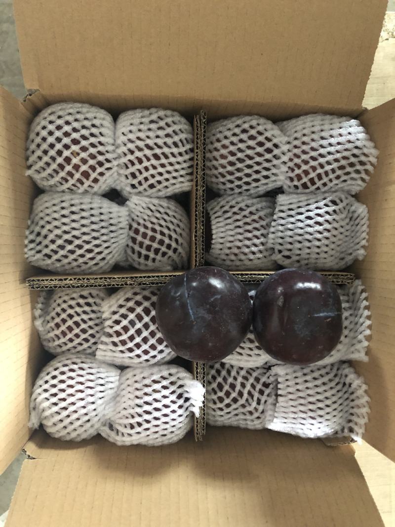 黑布林李子陕西黑布林李子，产地直发，支持一件代发