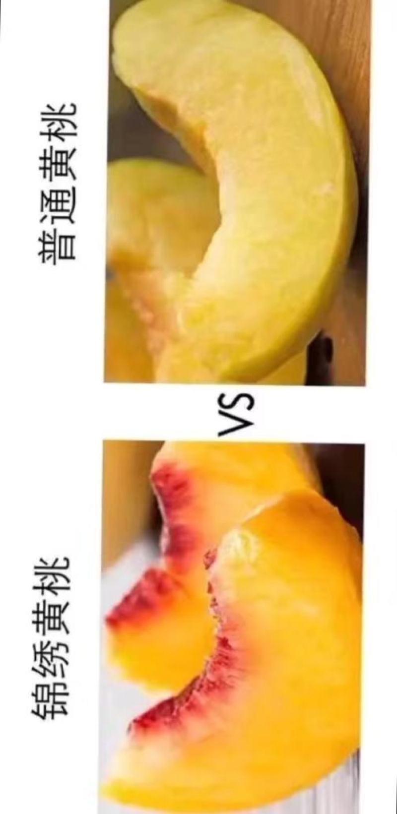 锦绣黄桃，四川产地，支持一件代发，批发，价格优惠