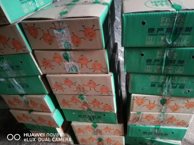 锦绣黄桃，四川产地，支持一件代发，批发，价格优惠