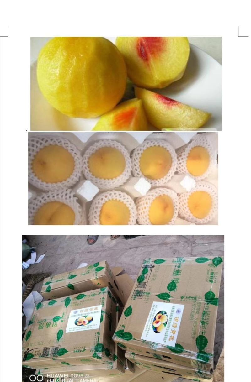 锦绣黄桃，四川产地，支持一件代发，批发，价格优惠