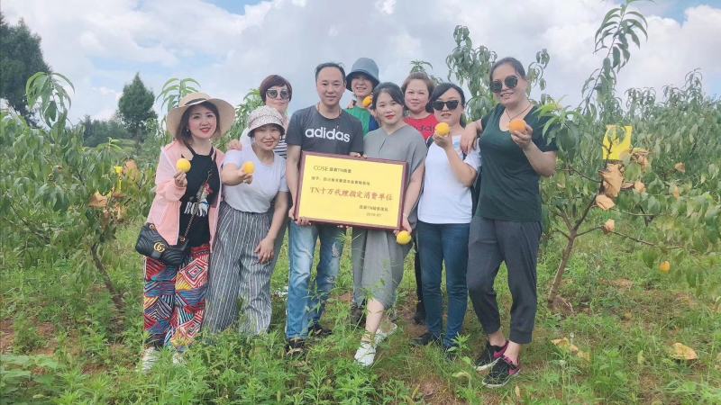 锦绣黄桃，四川产地，支持一件代发，批发，价格优惠