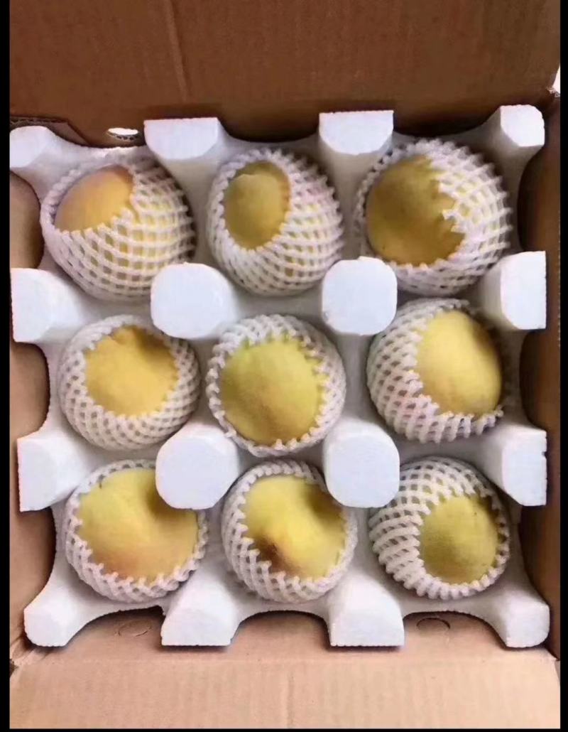锦绣黄桃，四川产地，支持一件代发，批发，价格优惠
