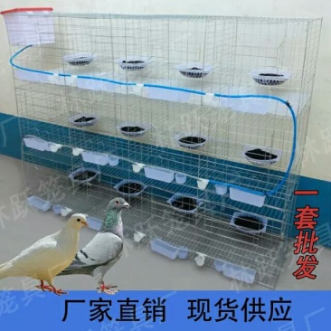 鸽笼大号加粗鸽子用品用具12位16位养殖鸽子笼信鸽配对