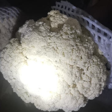 散花菜白直量好