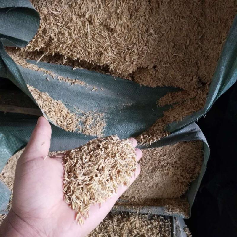 厂家供应优质稻壳压缩稻壳垫料大棚种植食用菌
