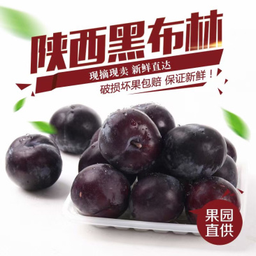 陕西黑布林2/3/5/10/斤装头茬新鲜水果现摘一件代发