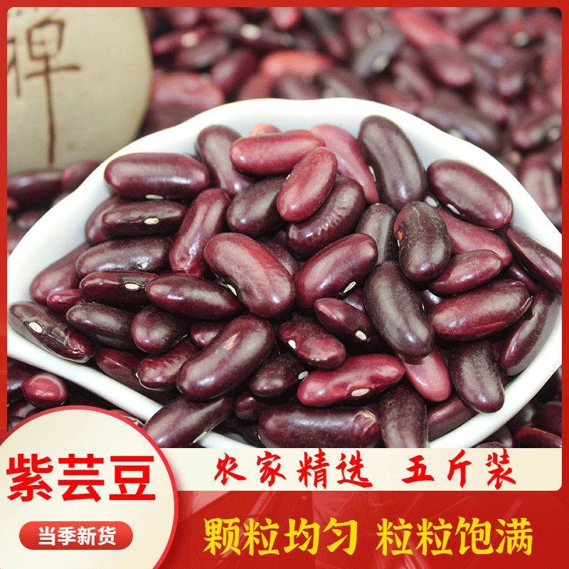 黑芸豆农家黑芸豆熬粥炖肉黑芸豆颗粒饱满五谷杂粮包邮
