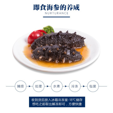 鲜食.海参辽宁大连长海县底播海参即食海参