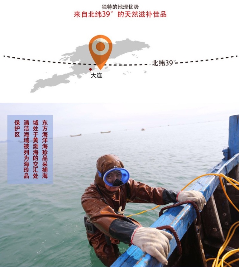 鲜食.海参辽宁大连长海县底播海参即食海参