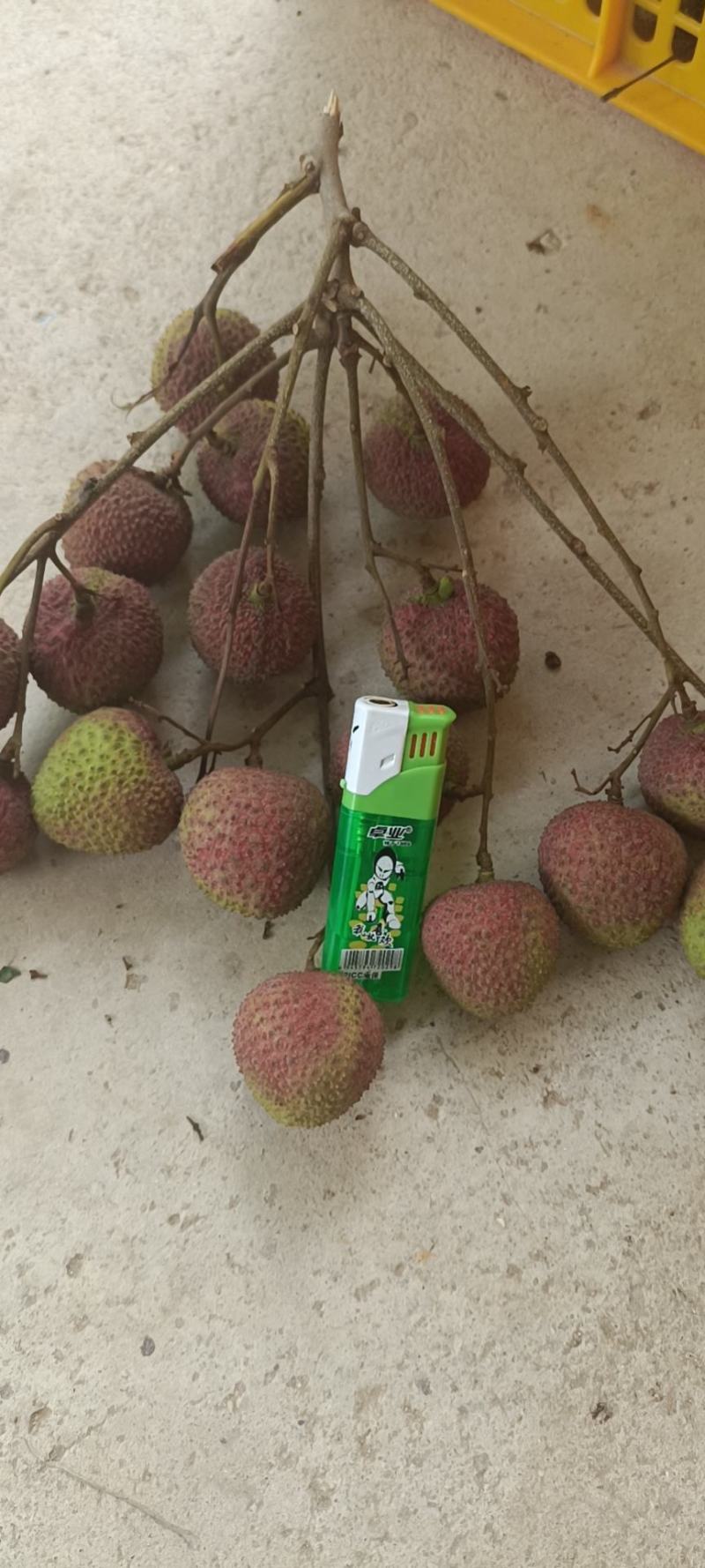 广西妃子笑荔枝大量上市皮薄肉鲜清甜爽口欢迎洽谈！