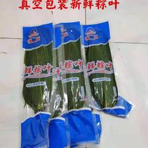 粽叶新鲜粽叶真空包装端午节粽子叶竹叶