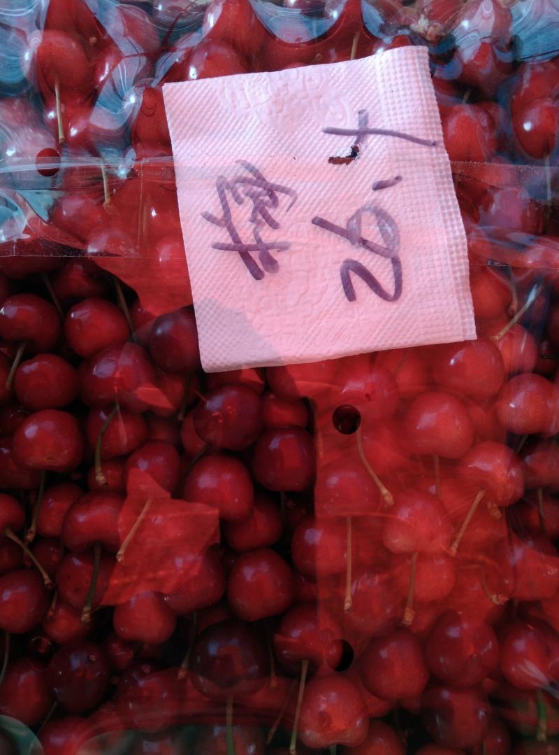 精品布鲁克斯美早大量上市！价格美丽！欢迎采购