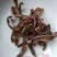 包邮广西狗爪豆干龙爪豆干狗儿豆干老虎豆不满意包退