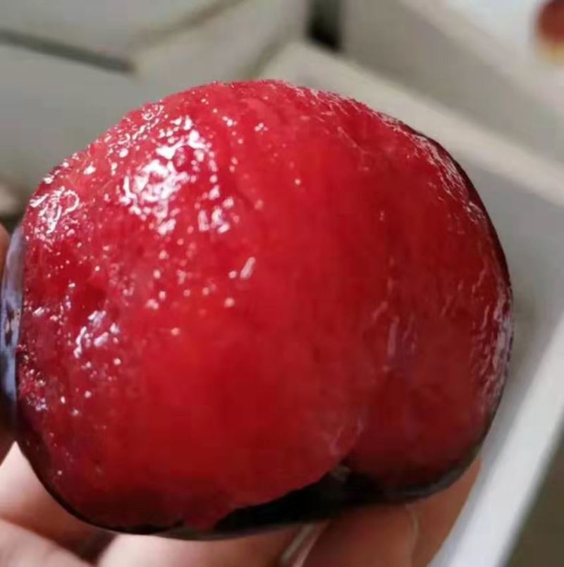 风味玫瑰李子，果肉红色，口感诺甜，支持电商代发和市场走货